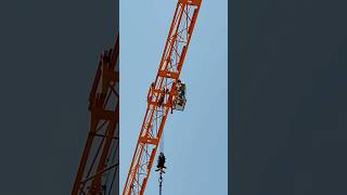 Lets ride with Crane towercrane potain constructionequipment construction cranesequipments yt [upl. by Naenej857]