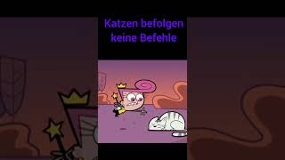 Katzen befolgen keine Befehle memes funny [upl. by Nirot404]