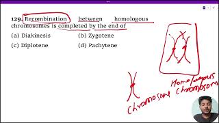 Recombination between homologous chromosomes is completed by the end of 1 Diakinesis 2 Zygotene [upl. by Nomelihp]