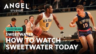 How To Watch quotSWEETWATERquot At Home [upl. by Aerdnas]