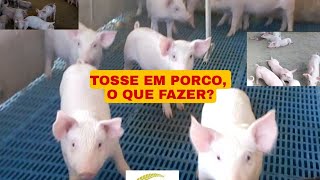 TOSSE EM PORCO O QUE FAZER COMO CONTROLAR E EVITAR [upl. by Rdnaskela]