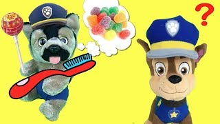 Patrulla canina españolChase de paw patrol aprende a lavarse los dientes Videos patrulla cachorros [upl. by Eirtemed]