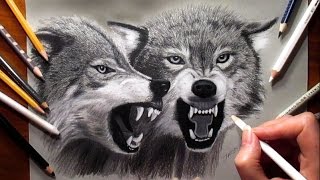 Pencil Drawing Two Growling Wolves  Speed Draw  Jasmina Susak [upl. by Enaht]