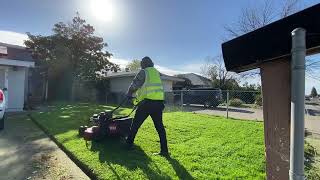 Toro Turfmaster in action mowing tall wet grass Side discharge then bagging Satisfying [upl. by Lubow809]