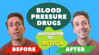 Blood Pressure Drugs  Mechanism of Action [upl. by Aicela]