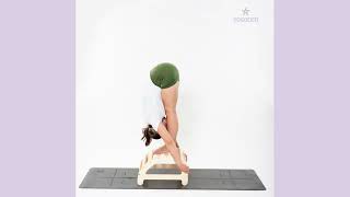 YOGA BACKBENDER PRO [upl. by Toinette]