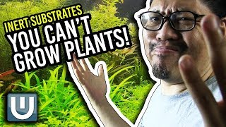 Growing Aquarium Plants with Inert Substrate [upl. by Sesiom353]