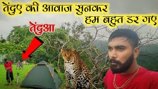 Surprised 😯 To Hear The Sound Of A leopard 🐆  forest night camping solocamping nature [upl. by Nagle]