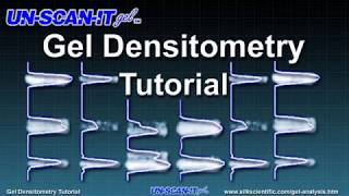 Gel Densitometry Tutorial [upl. by Weitzman]