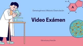 VIDEO EXÁMEN GAMETOGÉNESIS MEIOSIS Y GASTRULACIÓN  ESTRUCTURA Y FUNCIÓN [upl. by Hakeber]