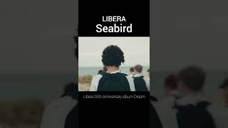 Libera  Seabird [upl. by Bledsoe]