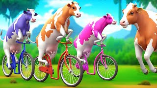 3 Giant Color Cows Race to Victory in a Funny Cycle Challenge Funny Cow Cartoon Videos [upl. by Wilmette]