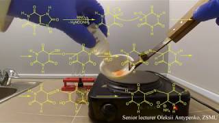 The identification of the uric acid The murexide test [upl. by Rehpotsirhk]