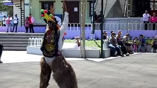 Danza tipica en la mitad del mundo quotEl Diablo Humaquot [upl. by Eglanteen877]