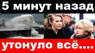 5 минут назад  утонуло всё  чп семья Собчак [upl. by Anotyal]