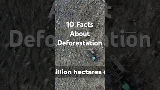 10 Critical Facts About Deforestation climatechange tree nature reddit [upl. by Knobloch783]