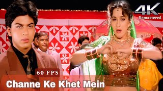 60 FPS Channe Ke Khet Mein  ANJAAM 1994  4K Remastered  HiRes FLAC  Madhuri Dixit  Shahrukh [upl. by Iggy361]