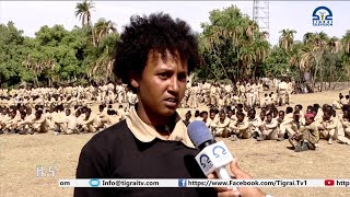 Live Streaming TIGRAI TELEVISION [upl. by Akcinehs544]