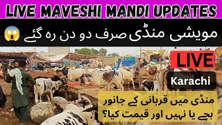 Qurbani 2024 Maveshi Mandi karachi 2024 Latest Live  Bakra Eid 2024 2 Days Left [upl. by Aiciruam]