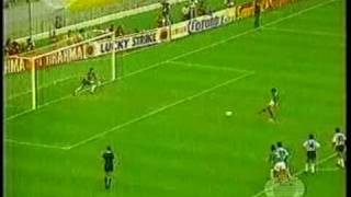 MEXICO VS ARGENTINA FINAL COPA AMERICA 1993 [upl. by Snook]