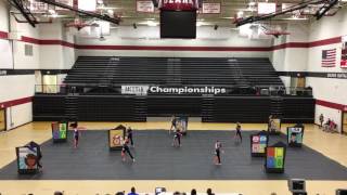 Mascoutah High School Winter Guard 2017 [upl. by Wane86]