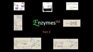 Enzymes 3 JM mov [upl. by Nauhs]