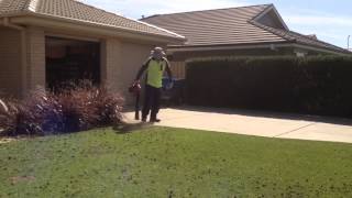 Cylinder Lawn Mowing  Prepare Lawn  Part 46 [upl. by Georgena276]