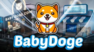 BABY DOGE New Developments Revealed During Twitter Space [upl. by Kella105]