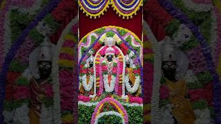 Srinivasa Govinda Sri Venkatesa Govinda  Tirumala Balaji [upl. by Locklin]