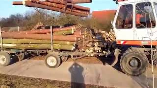 Abladen von Holz mit Holzgreifer am Atlas 1404 Bagger [upl. by Decamp]