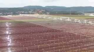 Gingko Asta Haematococcus farm in Yunnan China [upl. by Rudich136]