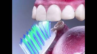 How To Brush Your Teeth  adult swim [upl. by Narot]