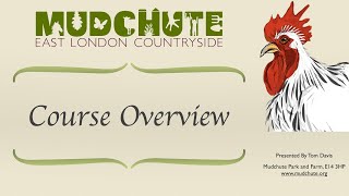 Mudchute Chicken Keeping Course Overview [upl. by Lyrret]