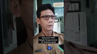 Rekrutmen PPPK Banyak Tenaga Honorer K2 Terbentur Ijazah [upl. by Weiner578]