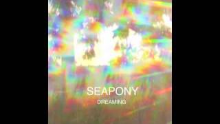 Seapony  Dreaming  not the video [upl. by Jeuz]