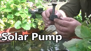 Small Solar Water Pump  Good For Wildlife Ponds [upl. by Adimra129]