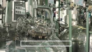 cGMP Manufacturing in Panoli India [upl. by Misak947]