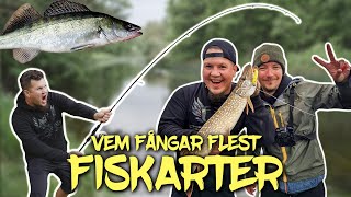 Vem Fångar Flest Fiskarter På En Dag  Ft kanalgratisdotse [upl. by Magnuson]