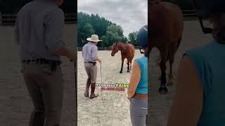 Comment bien se servir d’une cravache ou d’un stick ❔ feat ​⁠Andy Booth 👑✨ equitation [upl. by Aundrea]