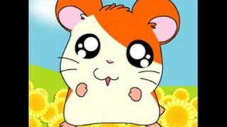 Hamtaro Japanese theme Song [upl. by Annail]