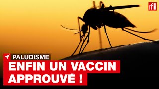 Paludisme  lOMS recommande le déploiement massif du vaccin RTSS chez les enfants • RFI [upl. by Eesdnyl]