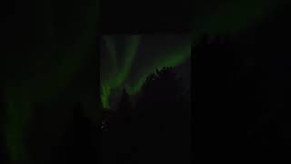 🇨🇦 Northern Lights and airplane from my bedroom in Calgary fall2024 Oct 11th calgary canada [upl. by Ecirrehs580]