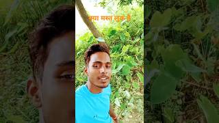 Love story Hindi song super song music hindisong ❤️🌹 shorts video [upl. by Maggi998]