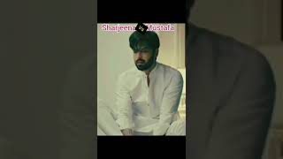 Rumi Vs MustafaIshqiyaKabhi mn kabhi tm haniaamir kabhimainkabhitum ishqiya shorts [upl. by Bunde]