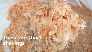 High quality Pine wood shavings [upl. by Mccready523]