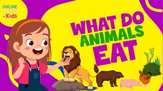 Animals and the Food They Eat  Omnivore  Carnivore  Herbivore  Science Lessons What Animals Eat [upl. by Geirk]