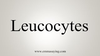 How To Say Leucocytes [upl. by Yllop372]