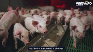 NOVUS’ Strategy for PostWeaning Swine Challenges  Feedinfo Shorts [upl. by Gabriel]