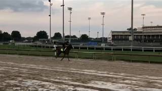 Belmont Stakes 2018 Justify training on May 27 at Churchill Downs [upl. by Locke921]