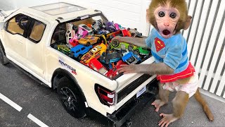 Monkey Baby Bon Bon drives a car and plays with puppy and duckling by the track [upl. by Randal]